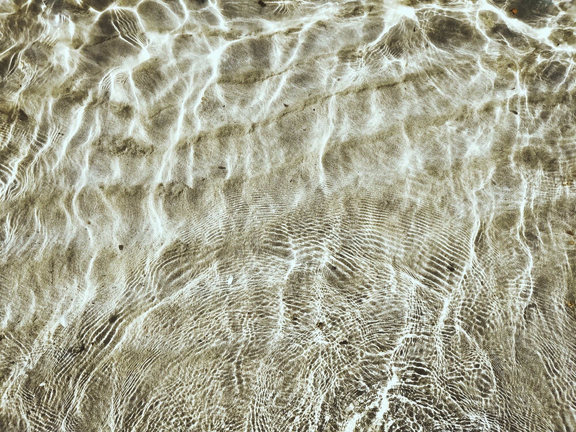 Real World Rest Soap Bar - Mamaku & Lavender